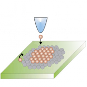 Scanning Probe Microscopy: From Sublime to Ubiquitous Scanning Probe Microscopy: From Sublime to Ubiquitous
