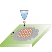 Scanning Probe Microscopy: From Sublime to Ubiquitous